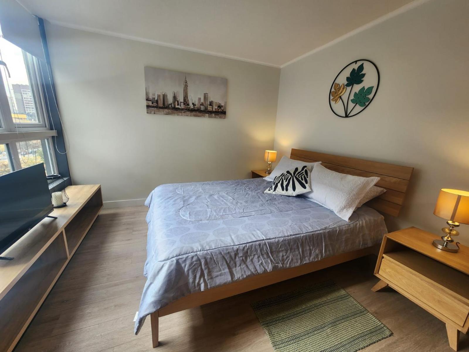 Hom I Acogedor Y Luminoso Depto En Nunoa Apartment *